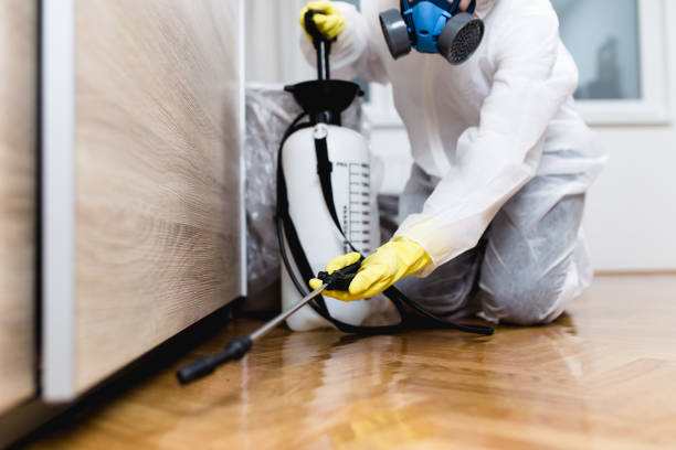 Best Wildlife Control Services  in Normal, IL