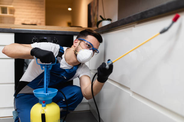 Best Pest Prevention Services  in Normal, IL
