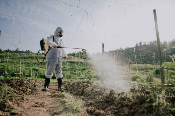 Best Ant Control Services  in Normal, IL