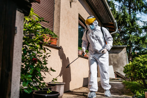 Best Affordable Pest Control Services  in Normal, IL