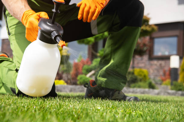 Best Pest Inspection Near Me  in Normal, IL