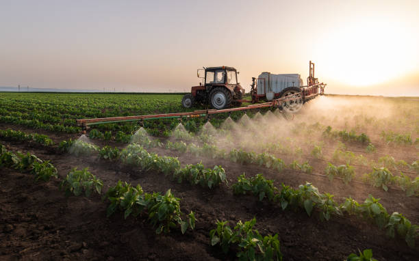 Pest Prevention Services in Normal, IL