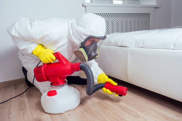 Best Emergency Pest Control  in Normal, IL