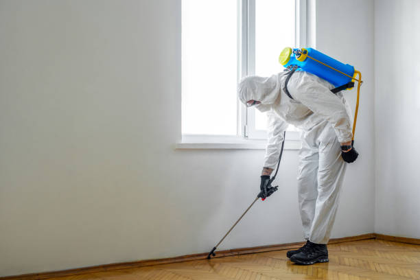 Best Commercial Pest Control Services  in Normal, IL