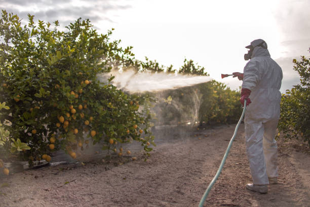 Wildlife Control Services in Normal, IL