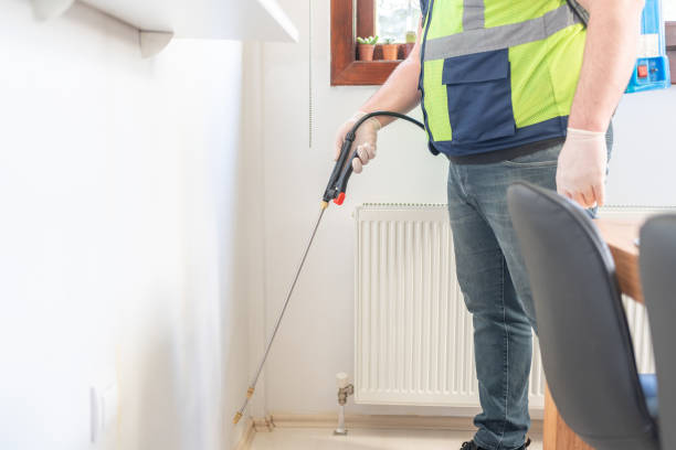 Best Wasp Removal Services  in Normal, IL