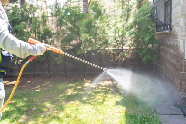 Best Mosquito Control Services  in Normal, IL