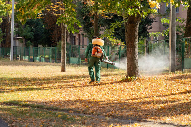 Best Rat Extermination Near Me  in Normal, IL