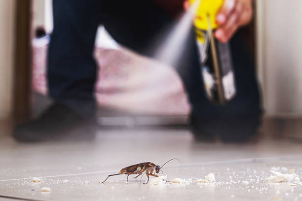 Best Exterminator Services  in Normal, IL