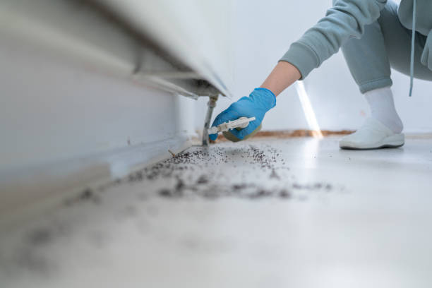 Best Best Pest Control Companies  in Normal, IL