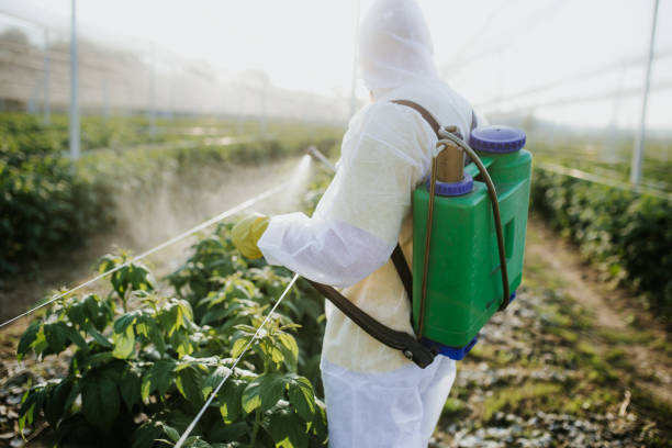 Best Best Pest Control Companies  in Normal, IL